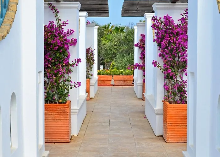 公寓 皮德拉玛尔公寓 科尼尔-德拉弗龙特拉