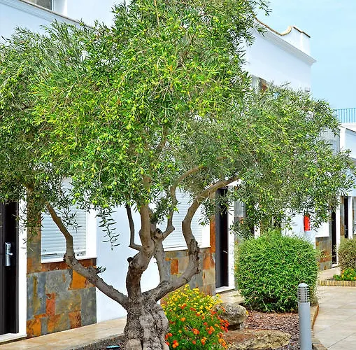 公寓 皮德拉玛尔公寓 *