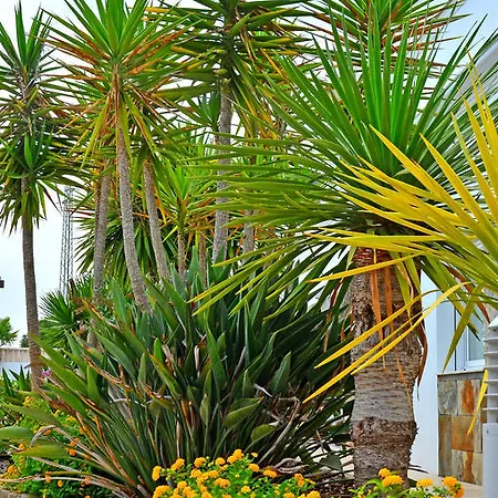 Piedramar Apartment *