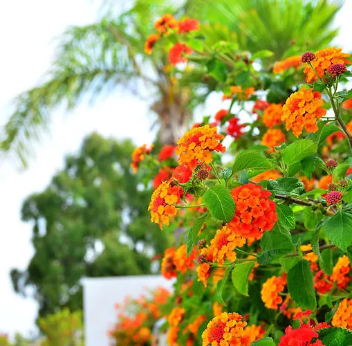 Piedramar Daire Conil De La Frontera